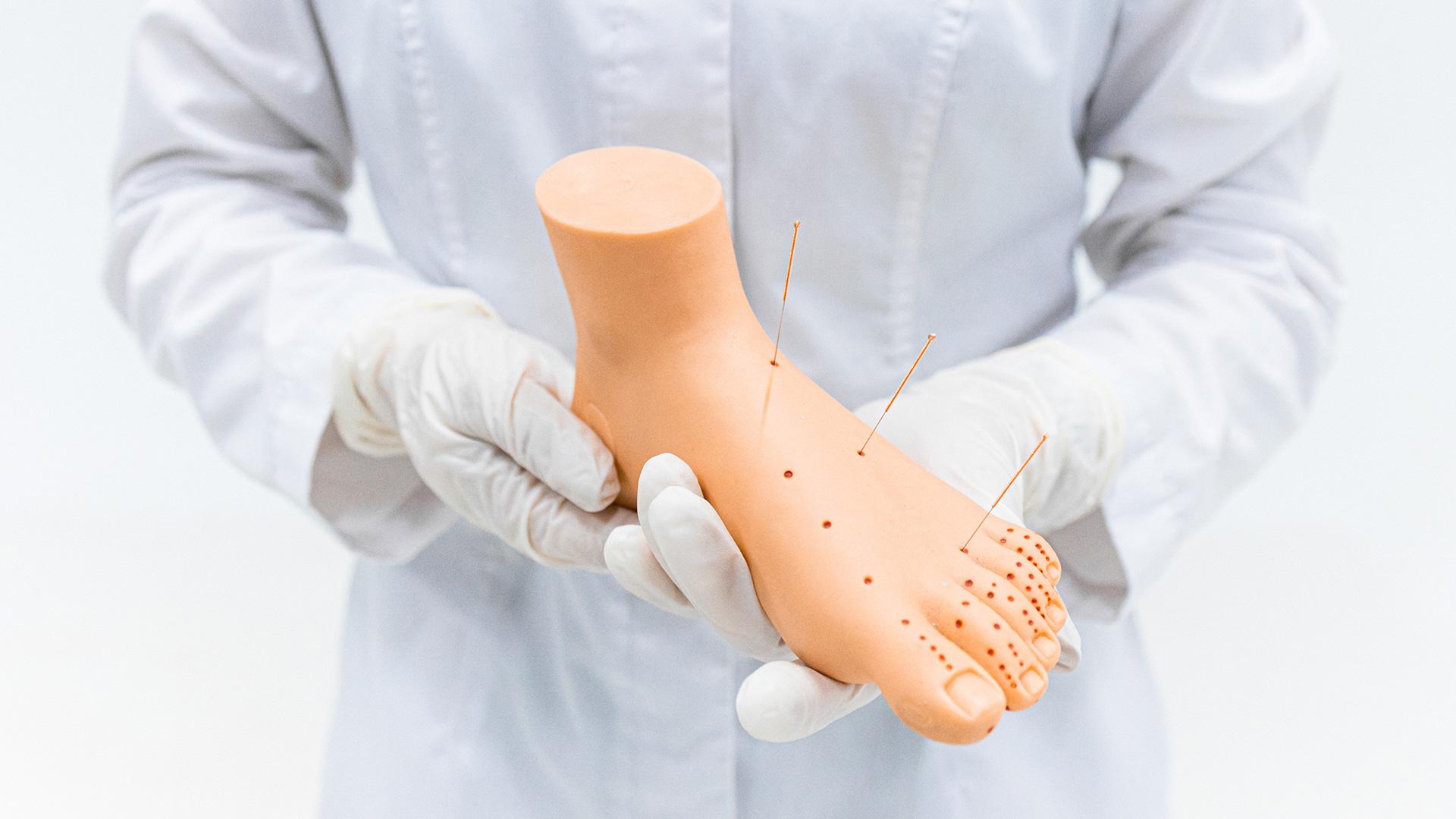 The photo features a detailed model of a foot with highlighted acupuncture points. It is labeled with various points, showcasing their relevance in traditional Chinese medicine (TCM) and Eastern medicine practiced at Acugift in Charlotte. This visual aid helps show the difference between dry needling and acupuncture, emphasizing the specific areas targeted in acupuncture that focus on energy flow. 