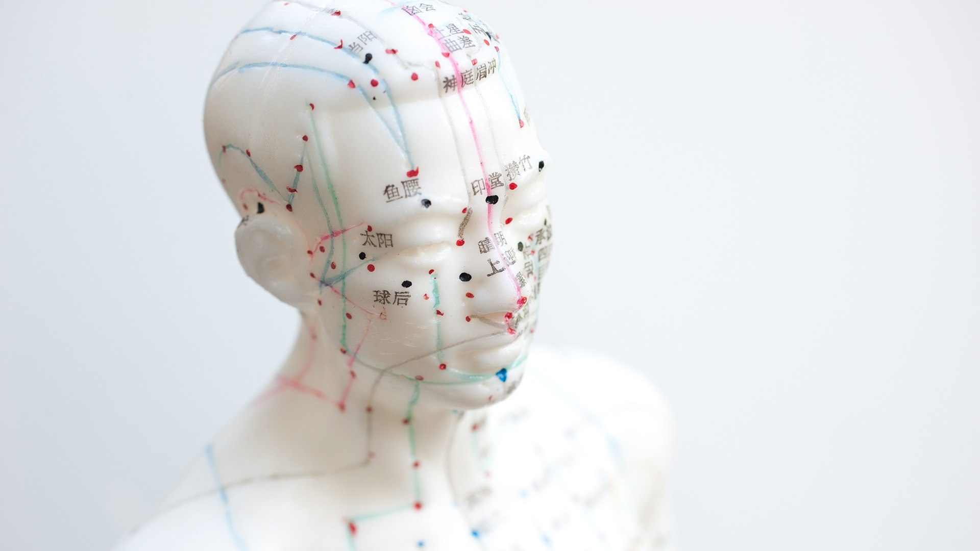 The photo features a detailed bust illustration highlighting meridians of the body and acupuncture points along the face and head. The diagram is marked with colorful lines and labels to show the flow of energy through various meridians, with specific pressure points for headaches.